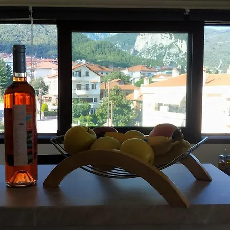 Luxury With Olympus And Sea View Appartement *