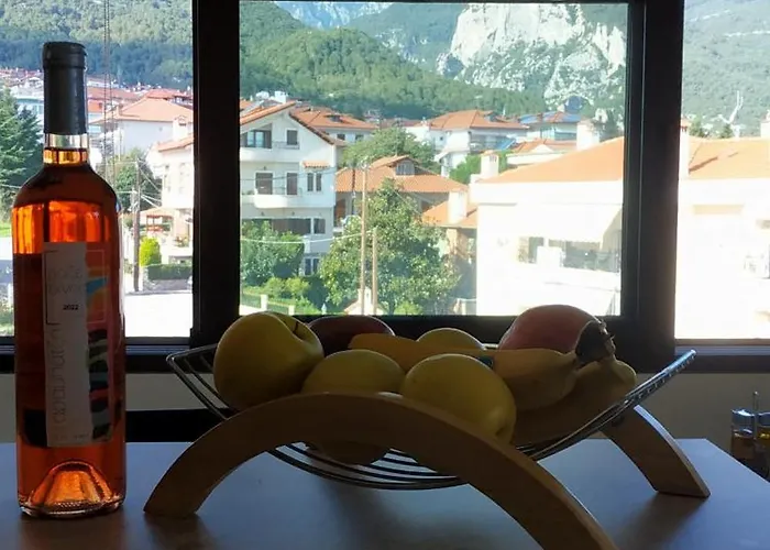 Luxury With Olympus And Sea View Apartament *